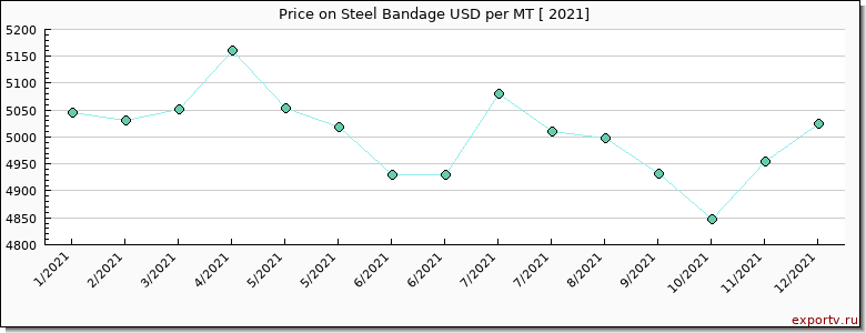 Steel Bandage price per year