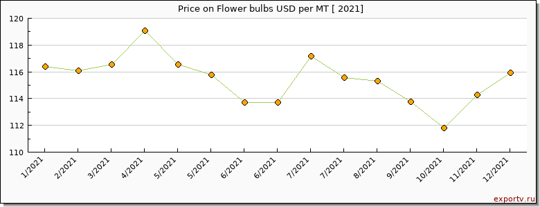 Flower bulbs price per year