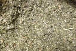 Астрагал шерстистоцветковый трава оптом (см. описание)