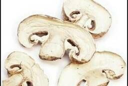Dried champignons mushrooms