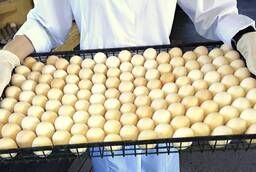 Hatching egg WHOLESALE and Retail