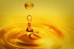 Кедровое масло 1 литр