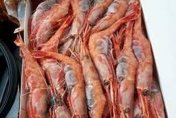 Креветка северная сыро-морож, сырая (raw frozen shrimp)