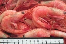 Креветка северная вар-морож. Cooked frozen northern shrimp