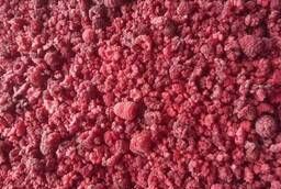 Raspberry frozen GRIS