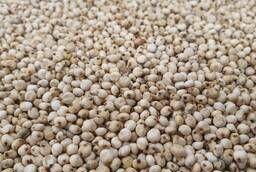 Sell Sorghum (white and red)