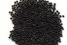 Black amaranth seeds