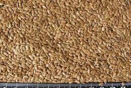 Flax seeds Mix Severny Stream