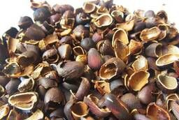 Shells (mulch, husk) of pine nuts.