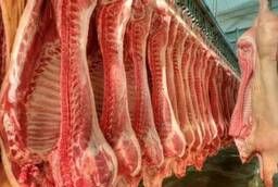 Pork in half carcasses WHOLESALE from the manufacturer