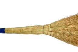 Broom sorghum
