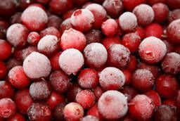 Frozen lingonberry