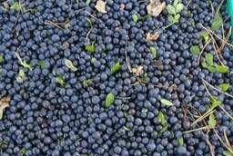 Blueberries, fresh, chilled.