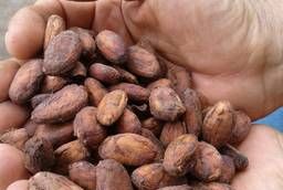 Эксклюзивные какао-бобы из собственной плантации