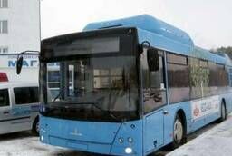 City bus MAZ bus 203965