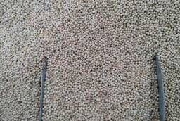 Field peas (pelyushka) ES