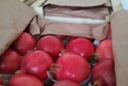 Pomegranates from Uzbekistan