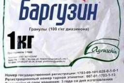 Insecticide Barguzin, G EC pack. 1 kg. Tula, Moscow, Voronezh