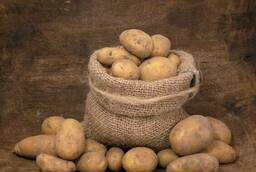 Potatoes, Potatoes with delivery 2017 harvest