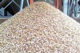 Кормовой зернопродукт ( рисовые отходы )