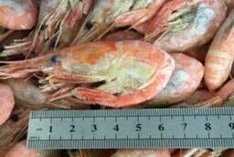 Northern shrimps 80150