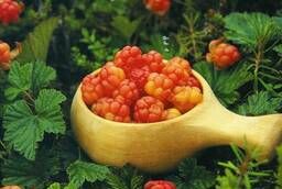Cloudberry Flavoring