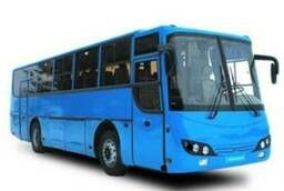 Пассажирские перевозки ( газели, микроавтобусы, автобусы)