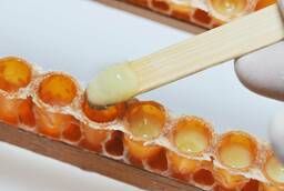 Пчелиное Маточное Молочко Лиофилизированное