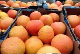 Wholesale grapefruit delivery territory