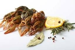 Live and boiled crayfish