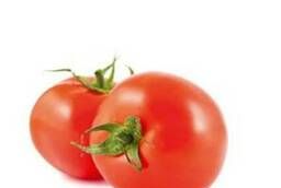 Seeds Tomato  «Raspberry elephant» 0.1 gr Vegetable Organic Russian GAVRISH