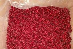 Lingonberry frozen mechanical cleaning