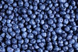 Fresh blueberries RB
