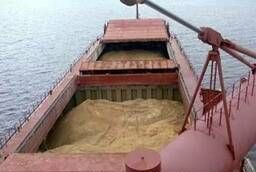 Фрахтование судов / морские пееревозки навалочных грузов