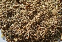 Кормовой зернопродукт пшеничный