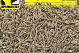 Кумин семена, меш. 25 кг (Индия) НТ