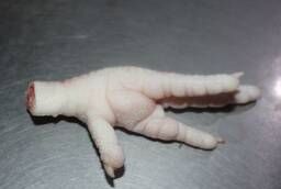 Chicken feet of the Paws category for export