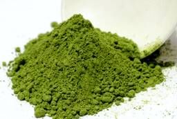 Matcha (matcha) in small wholesale from a warehouse in Moscow