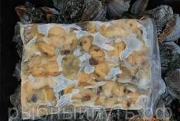 Мясо рапаны свежемороженое оптом от производителя в Крыму РФ