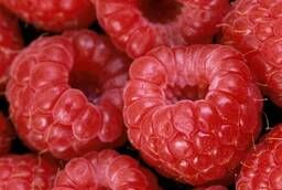 Начинка термостабильная Малиновая содержание ягод от 30%