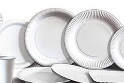 Disposable paper  cardboard tableware in a set
