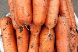 Продаем морковь картофель мелким оптом в Москве отгрузка от мешка
