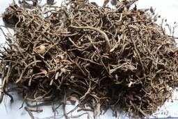 Selling valerian root up to 300t