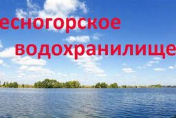 Land plots on the shore of the Desnogorsk reservoir