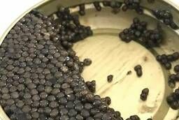 Black beluga caviar (Astrakhan) - 100 grams