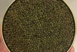 Black beluga caviar (Astrakhan) - 250g