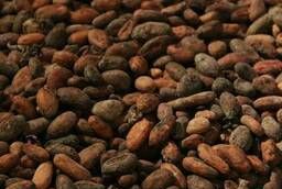 Какао-бобы категории Fino de Aroma высшего качества из Кол