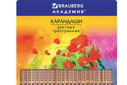 Color pencils Brauberg Flowers, 24 colors, triangular. ..