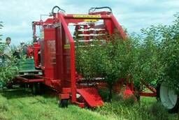 Harvester for harvesting cherries Weremczuk 1 Felix  Z Rol