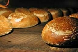 Bottom bread production line
